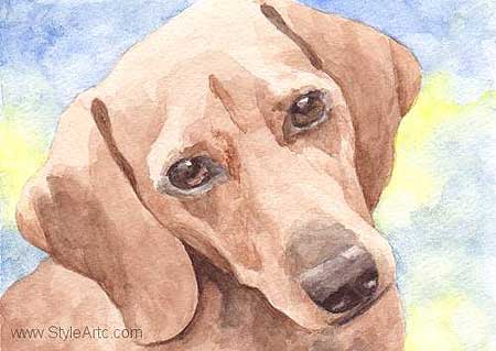dachshund watercolor pet portrait