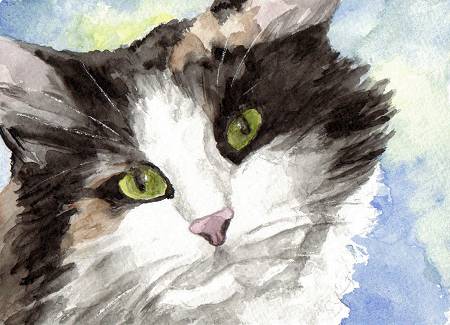 watercolor calico cat art